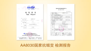 AA8030國家抗蠕變 檢測報告